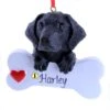 Black Lab Retriever -Esquire Shop 104643 p