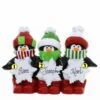 Penguin Snowflake Family Of 3 -Esquire Shop 104905 p