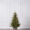 5FT Fieldstone Spruce In Pot -Esquire Shop 284095 1
