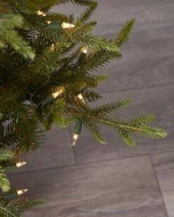 5FT Fieldstone Spruce In Pot -Esquire Shop 284095 3