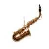 Gold Saxophone 1 Gold Saxophone -Esquire Shop 307005 1
