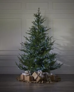 500 Cool White Compact Light Set -Esquire Shop 440200 3