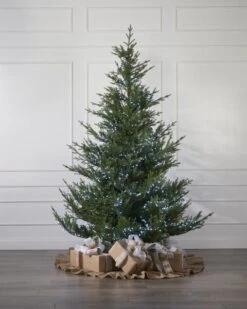 500 Cool White Compact Light Set -Esquire Shop 440200 4