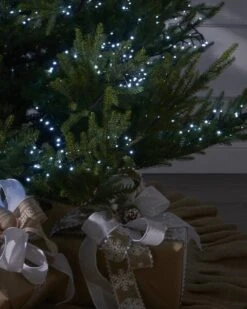 Esquire Shop -Esquire Shop 440201 2