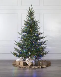 500 Multicolored Compact Light Set -Esquire Shop 440206 4