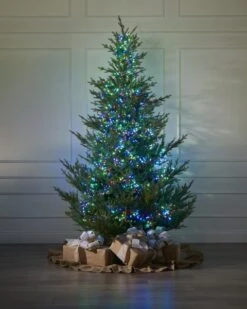 448 Multicolored Cluster Light Set -Esquire Shop 440261 3