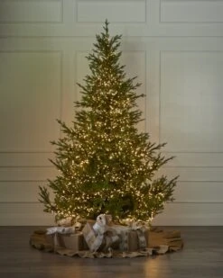 448 Warm White Cluster Light Set -Esquire Shop 440262 3