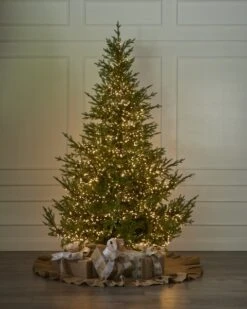 1000 Warm White Light Set 9 1000 Warm White Light Set -Esquire Shop 440265 3