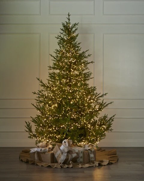 1000 Warm White Light Set 4 1000 Warm White Light Set - Image 3