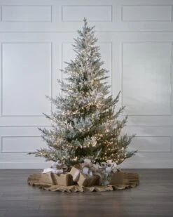 500LT Warm White Compact With Transparent Cord -Esquire Shop 440567 4