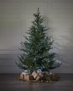 1500 Cool White Compact Light Set -Esquire Shop 440569 3