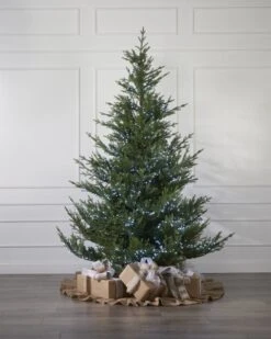 1500 Cool White Compact Light Set -Esquire Shop 440569 4