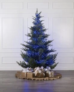 500 Blue Compact Lights -Esquire Shop 500429 4