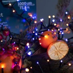 500 Halloween Compact Light Set -Esquire Shop 500431 6