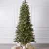 7.5ft Slim Grandview Pine Tree With Clear LED Lights -Esquire Shop 502056 1