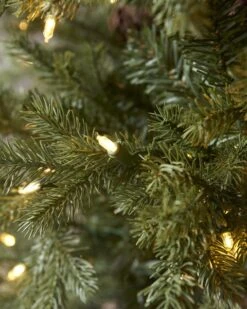 7.5ft Slim Grandview Pine Tree With Clear LED Lights 11 7.5ft Slim Grandview Pine Tree With Clear LED Lights -Esquire Shop 502056 4