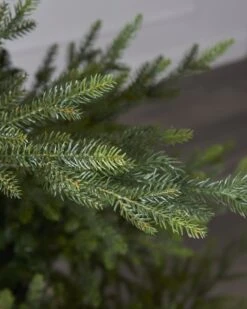 5ft Norway Spruce Tree -Esquire Shop 503939 3