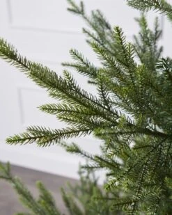 5ft Norway Spruce Tree -Esquire Shop 503939 4