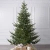 10ft Norway Spruce Tree -Esquire Shop 503942 1