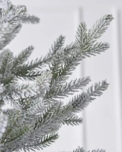6ft Snowy Norway Spruce Tree -Esquire Shop 503945 5
