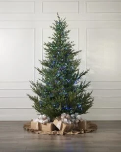 768LT Multi Cluster -Esquire Shop 510213 4