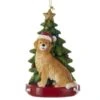 Golden Retriever With Tree -Esquire Shop 628314 1