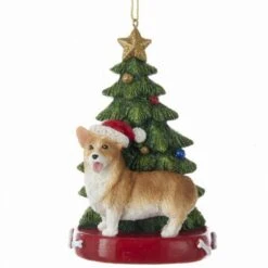 Corgi With Tree