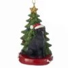 Black Lab With Tree -Esquire Shop 628325 1