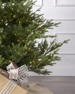 Esquire Shop -Esquire Shop 9690567 2