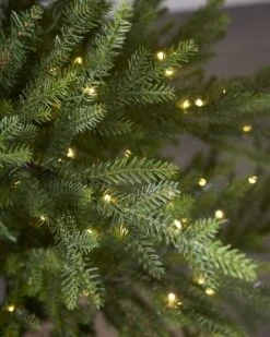 10 Ft Norway Spruce With Micro LED Lights -Esquire Shop 9690567 3