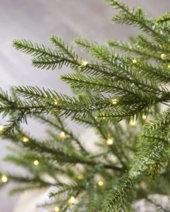 10 Ft Norway Spruce With Micro LED Lights -Esquire Shop 9690567 4