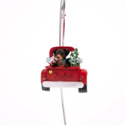 Rottweiler In Back Of Truck