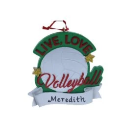 Live Love Volleyball Ornament -Esquire Shop A2112 1