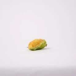 Corn On The Cob Noble Gem -Esquire Shop NB1281 3