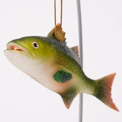 Noble Gem Bass Fish -Esquire Shop NB1765 4