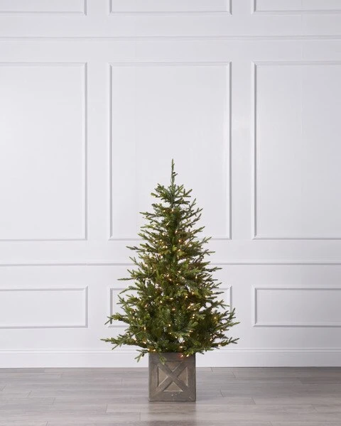 Esquire Shop 25 Esquire Shop -Esquire Shop 284095 1